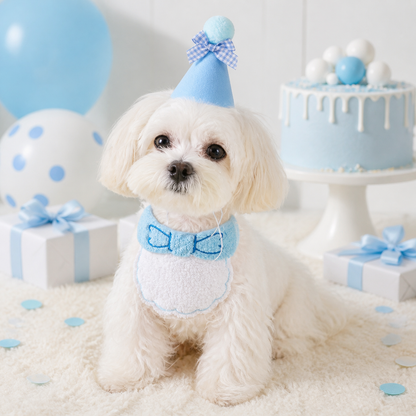 Pawty Day Pet Birthday Hat & Bib Bandana Set product image 2