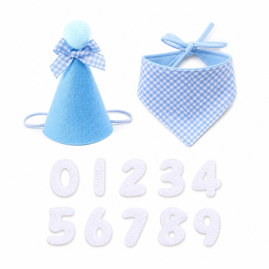Pawty Day Pet Birthday Hat & Bib Bandana Set product image 1