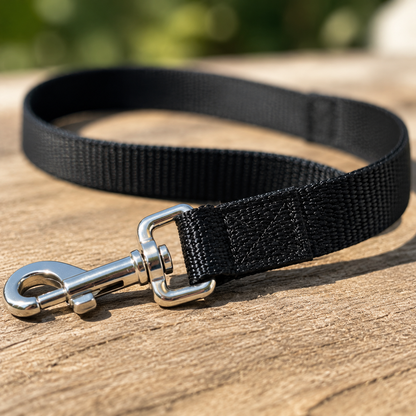 Close-up of reinforced stitching and silver swivel snap on Everyday leash