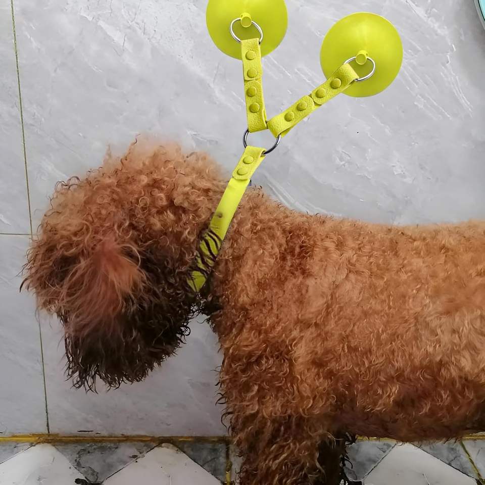 BathAnchor Dual-Suction Pet Grooming Tether — image 5
