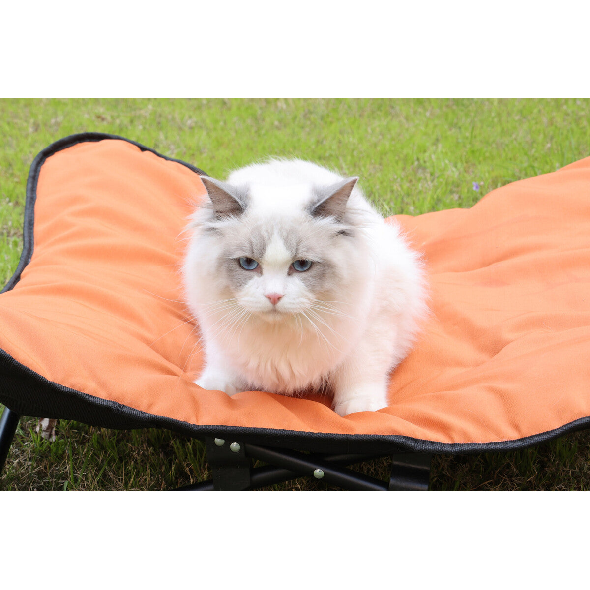 CampLift Foldable Elevated Pet Cot – product image 5