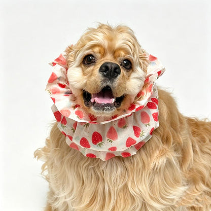 EarKeep Lightweight Long-Ear Dog Snoods — 2 Pack — image 1