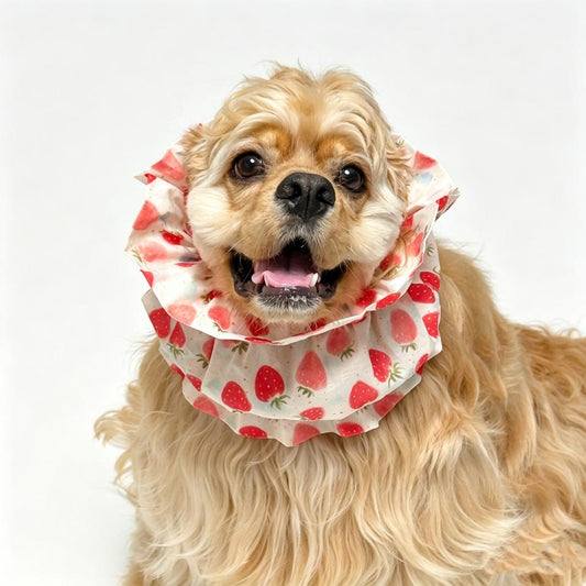 EarKeep Lightweight Long-Ear Dog Snoods — 2 Pack — image 1