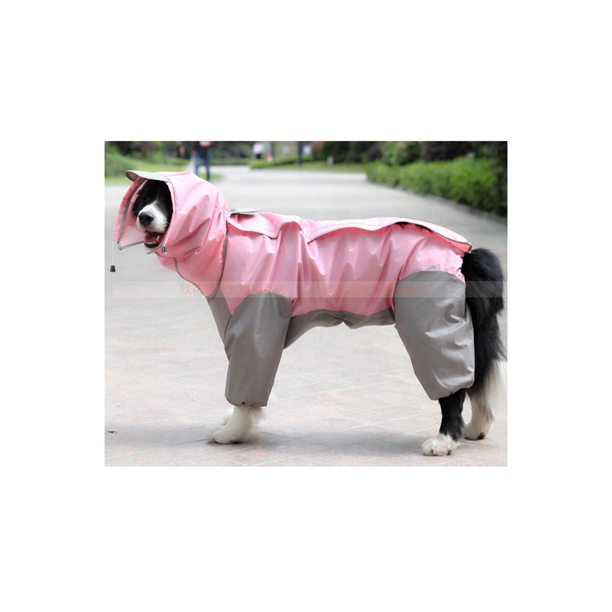 StormShield Full-Cover Dog Raincoat – Size 18 – product image 3
