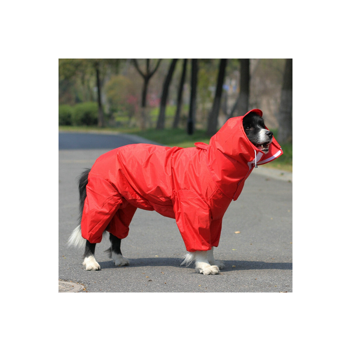 StormShield Full-Cover Dog Raincoat – Size 18 – product image 4