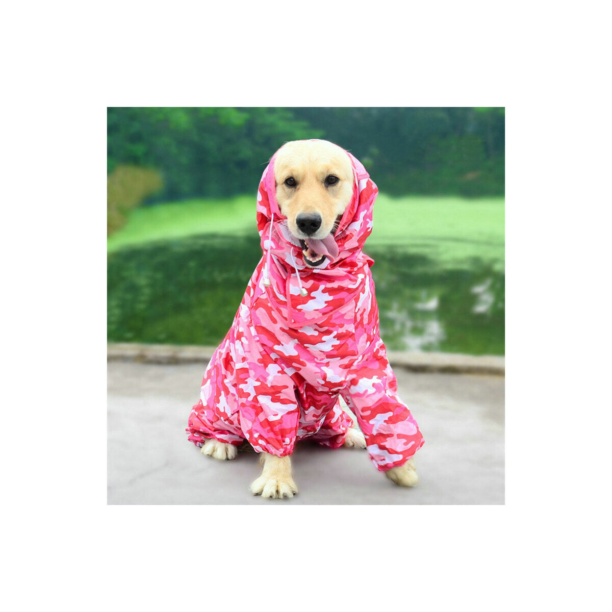 StormShield Full-Cover Dog Raincoat – Size 18 – product image 5
