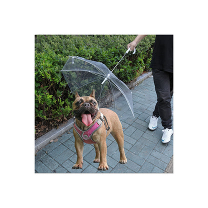 RainWalk Clear Dog Umbrella Leash – product image 4