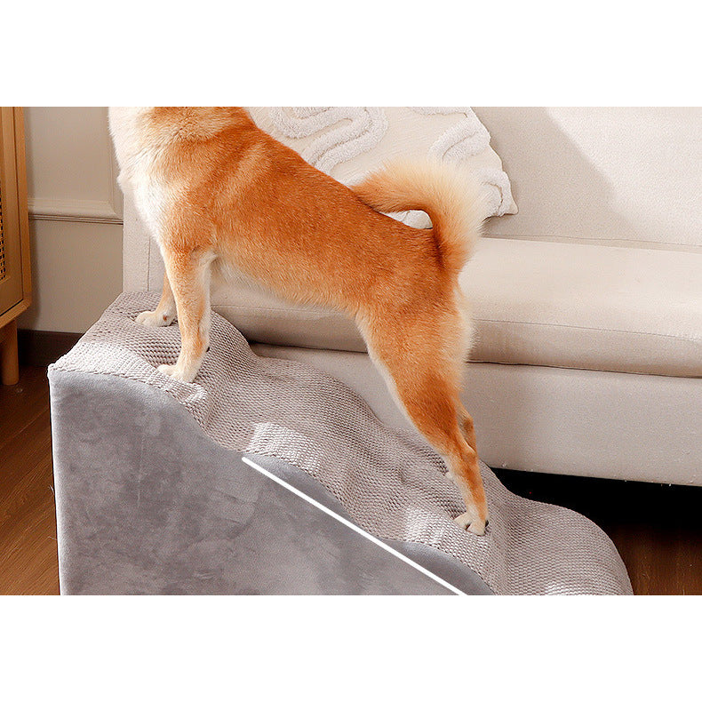 Dog walking up the gently sloped pet stairs