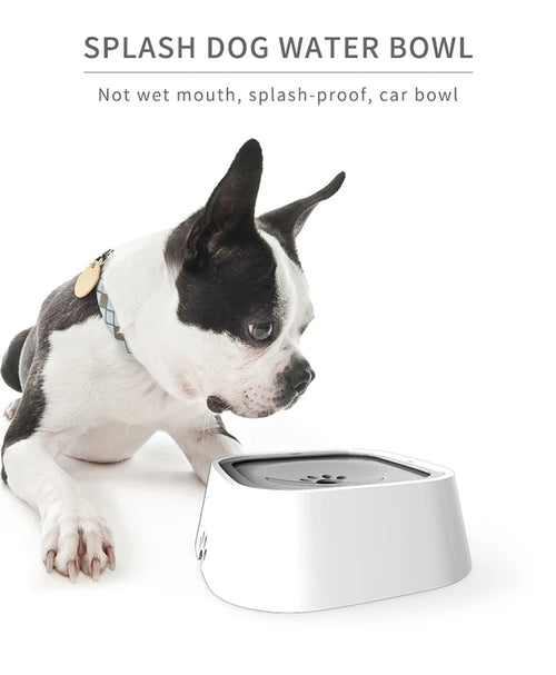 MorrowPaws CalmSip 1.5L No-Splash Pet Water Bowl product image 1