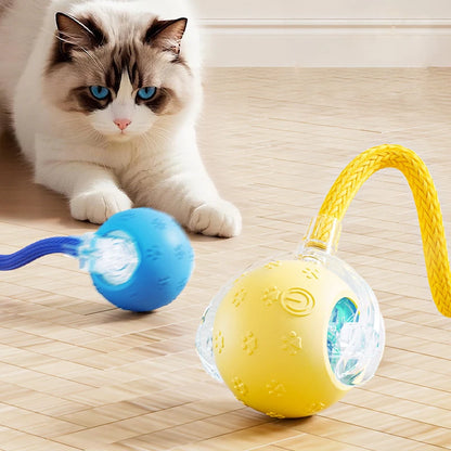 MorrowPaws ChirpRoll Automatic Cat Ball product image 1