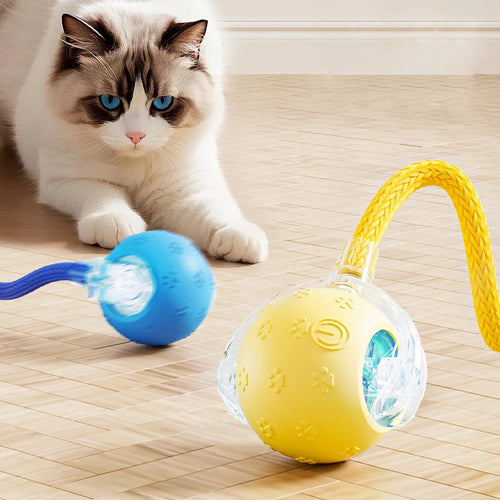 MorrowPaws ChirpRoll Automatic Cat Ball product image 1