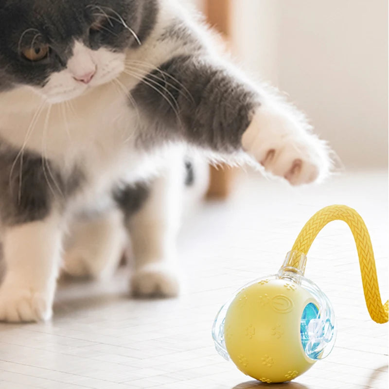 MorrowPaws ChirpRoll Automatic Cat Ball product image 2