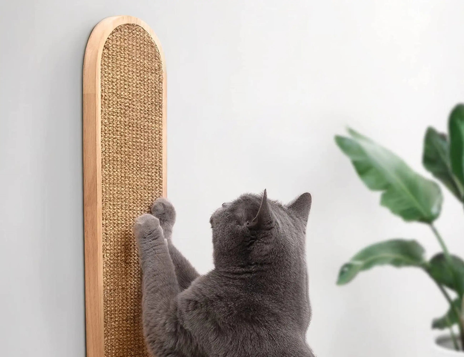 MorrowPaws WallClimb Sisal Cat Scratcher product image 4