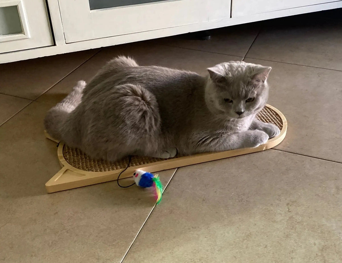 MorrowPaws WallClimb Sisal Cat Scratcher product image 5