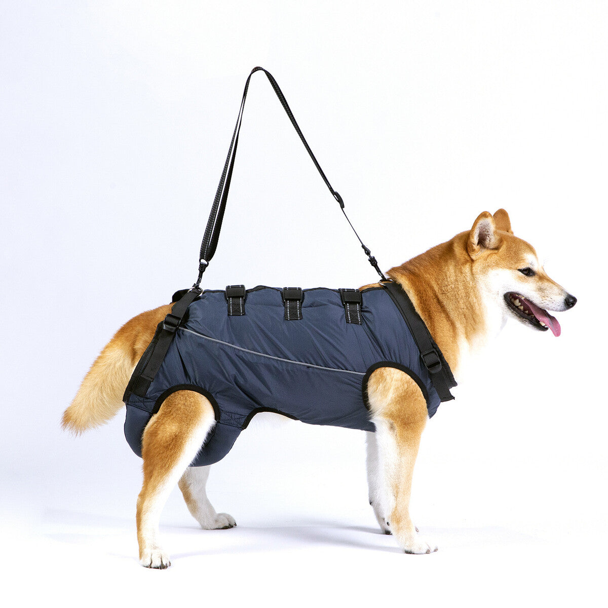 Side view of dog wearing the navy full-body mobility support harness