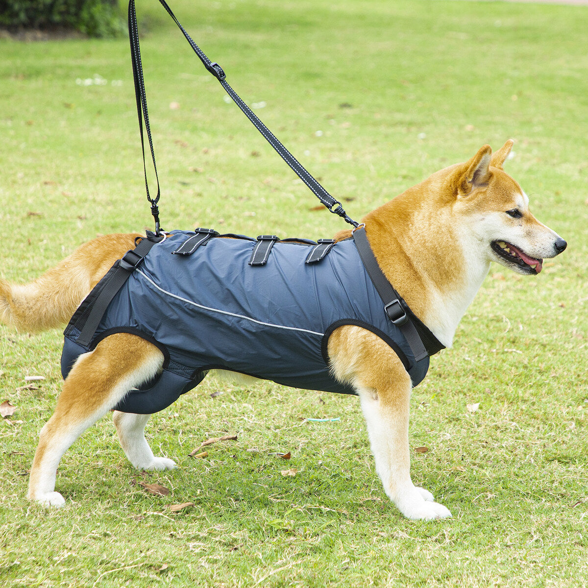 MorrowPaws LiftEase full-body dog mobility support harness in navy, worn outdoors