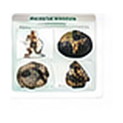 Car Back Seat Protector use guide