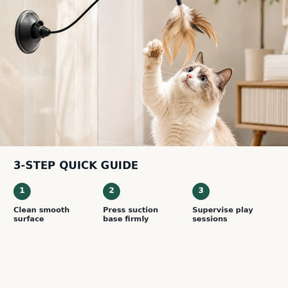 How to set up a suction cup cat feather toy