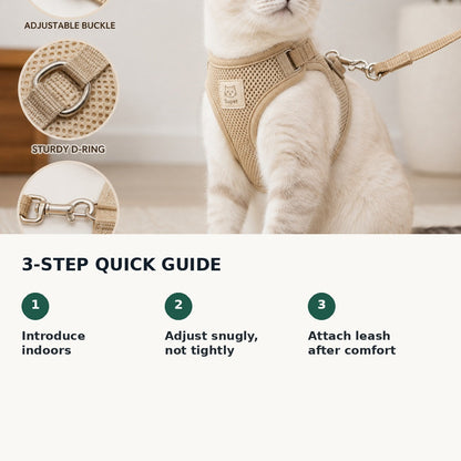 How to introduce a cat harness and leash