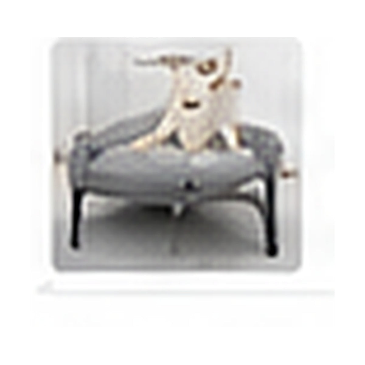 Elevated Pet Bed pet rest scene