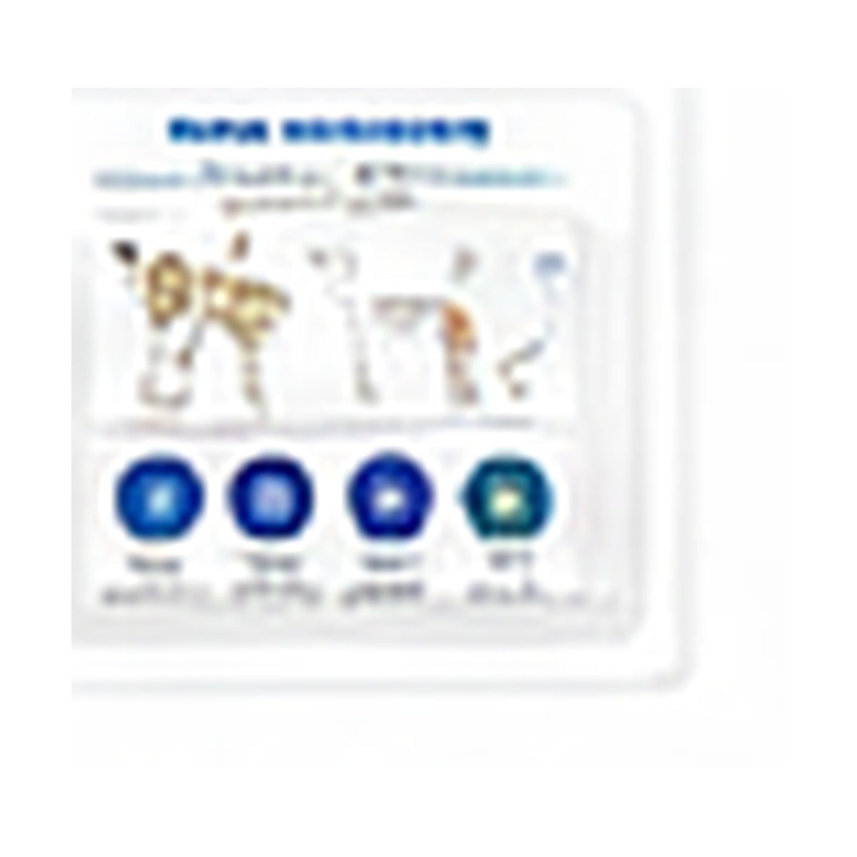 Elevated Pet Bed use and care