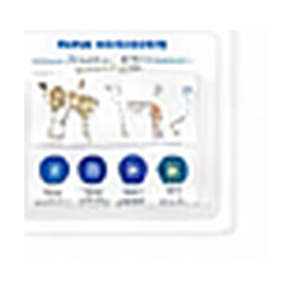 Elevated Pet Bed use and care