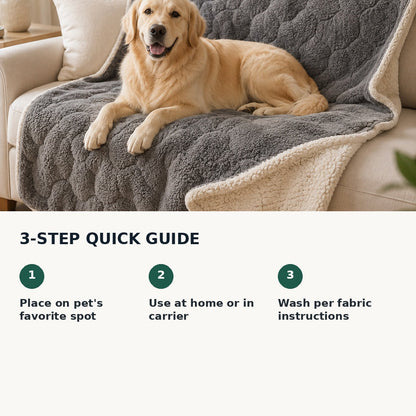 How to use a soft pet blanket at home and while traveling