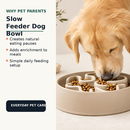 Slow feeder dog bowl benefits