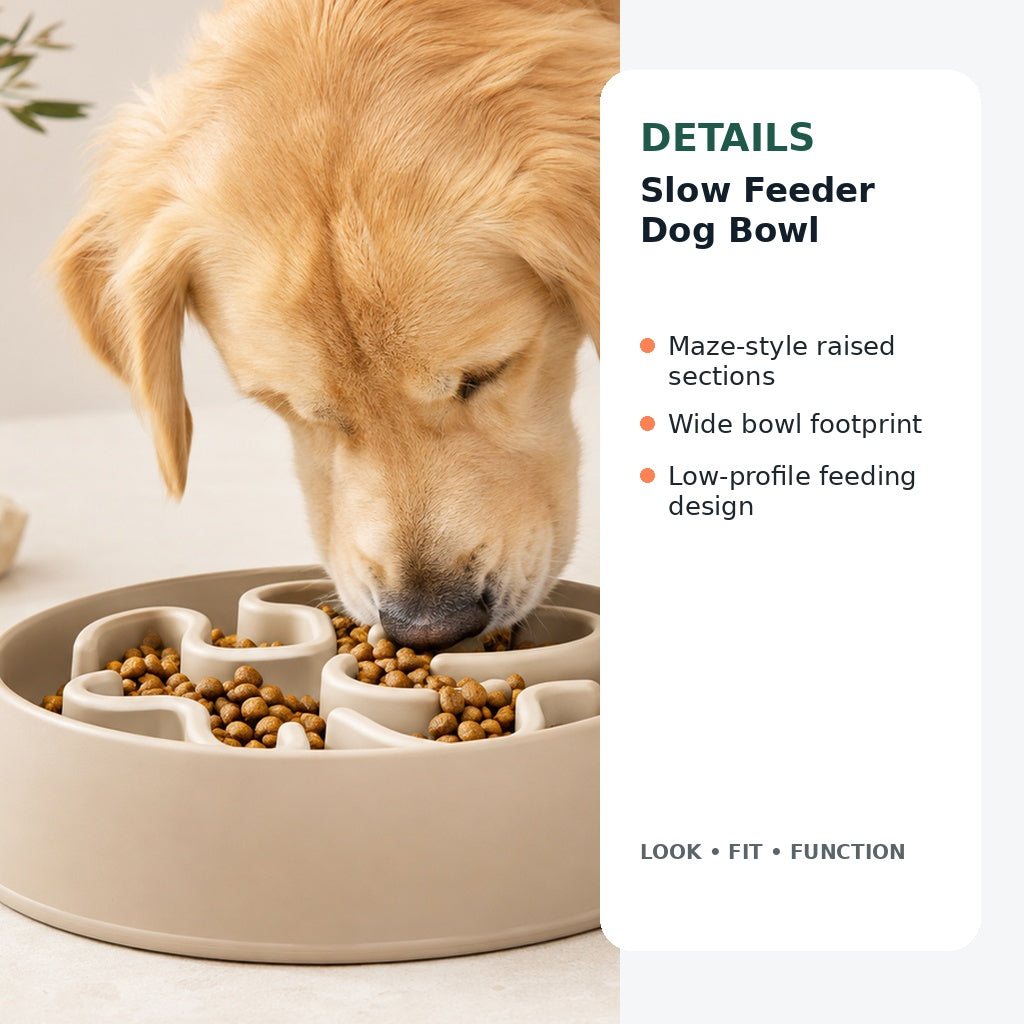 Slow feeder dog bowl design details