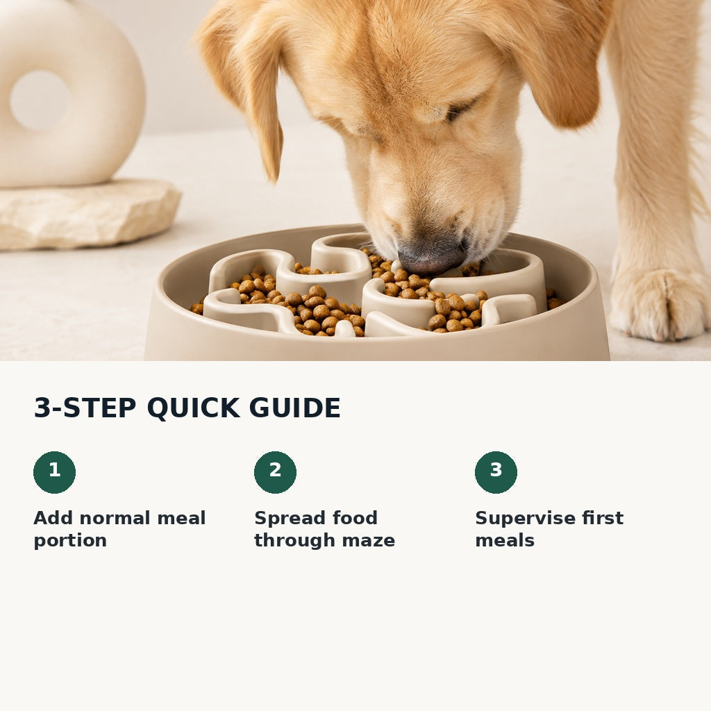 How to use a slow feeder dog bowl
