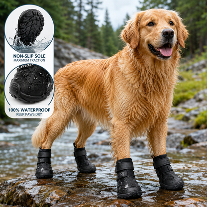 Golden retriever wearing black outdoor dog boots near a stream