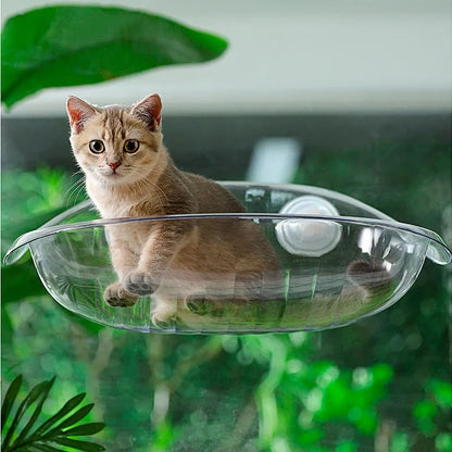 SkyView Acrylic Cat Window Perch — image 3