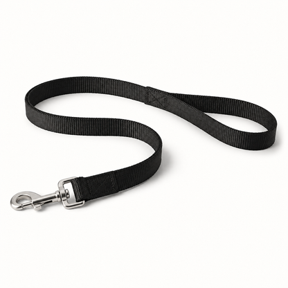 Heavy duty woven dog leash