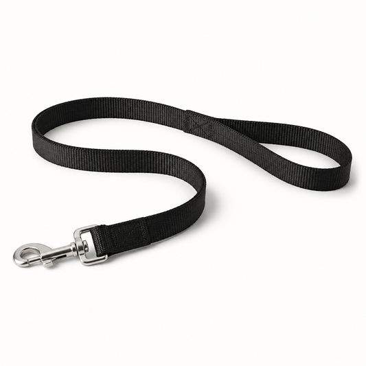 Heavy duty woven dog leash